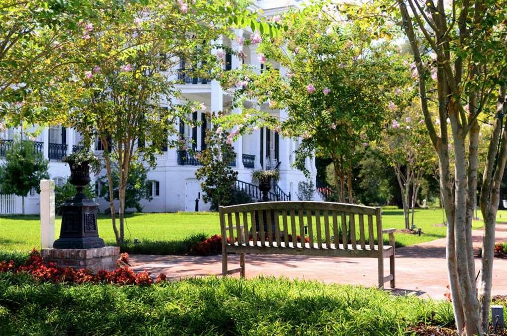 Nottoway Plantation And Resort White Castle Dış mekan fotoğraf