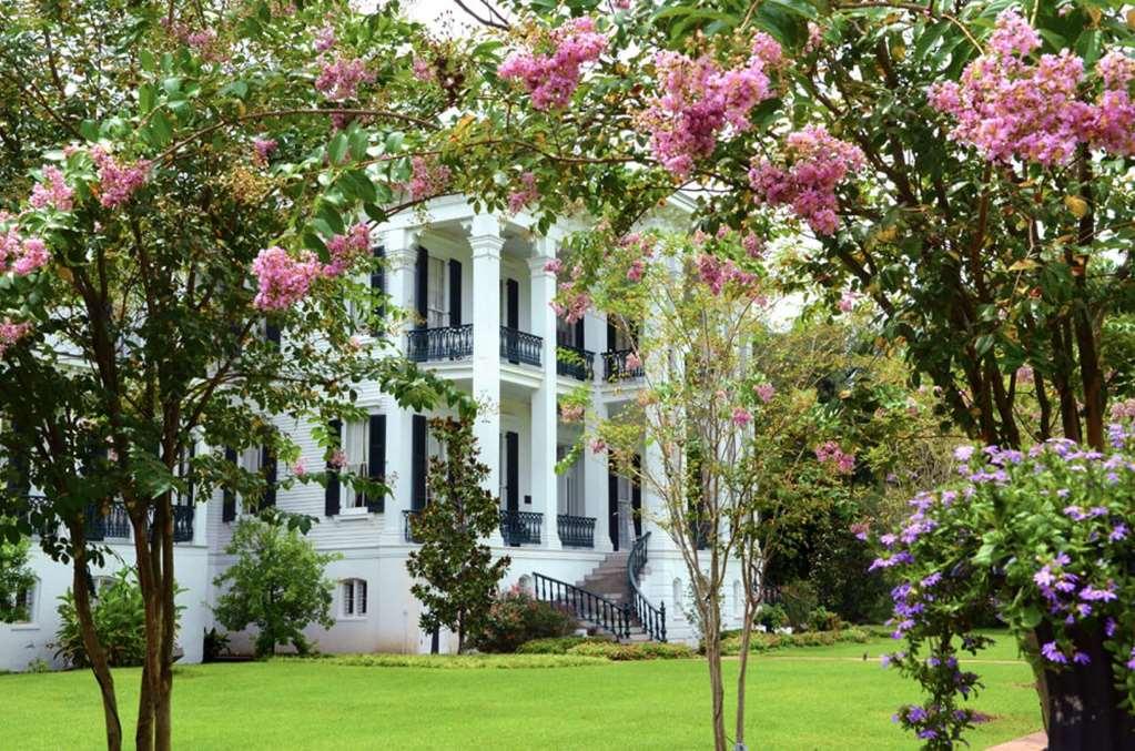 Nottoway Plantation And Resort White Castle Dış mekan fotoğraf